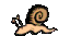 ghost snail